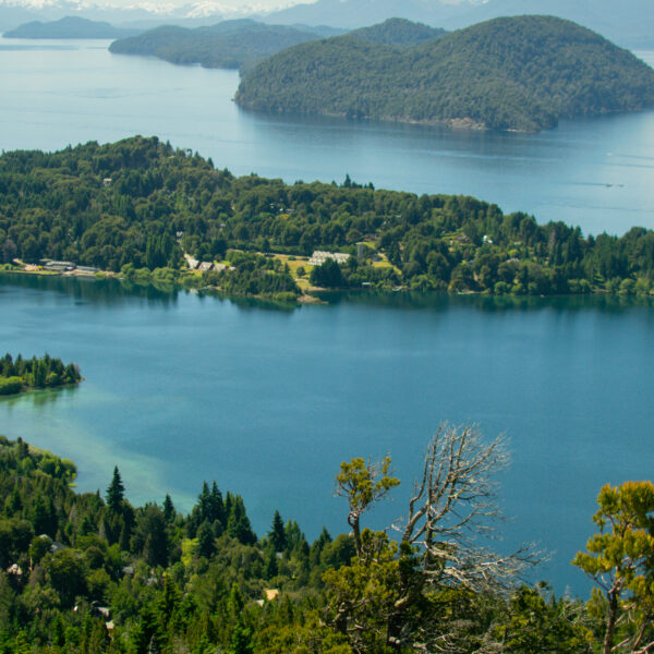Circuito Chico y Cerro Campanario: explorá Bariloche como nunca antes