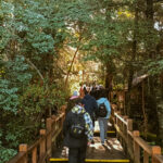 Nahuel Huapi navigation: Victoria Island and Arrayanes Forest without transfer