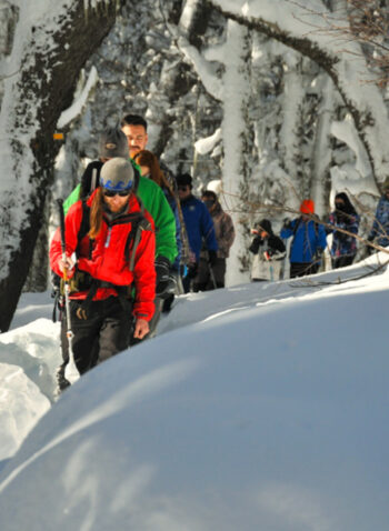 Caminata a la Laguna Congelada Neumeyer: aventura en la nieve y paisajes invernales únicos - Imagen 2