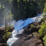 Puerto Blest and "Los Cantaros" Waterfall + Lake Frias without Transfer
