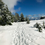Start the Snow Adventure: Transfer to Piedras Blancas without Complications