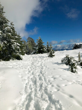 Empezá la Aventura en la Nieve: Traslado a Piedras Blancas sin Complicaciones