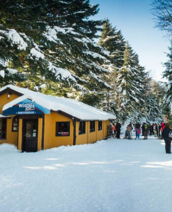 Winter Park - Ski principiantes - Image 2