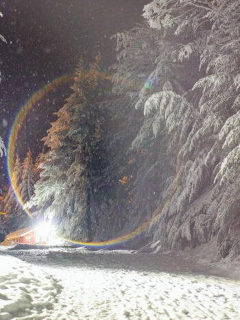 Winter Park - Cena Show y Ski nocturno - Imagen 4