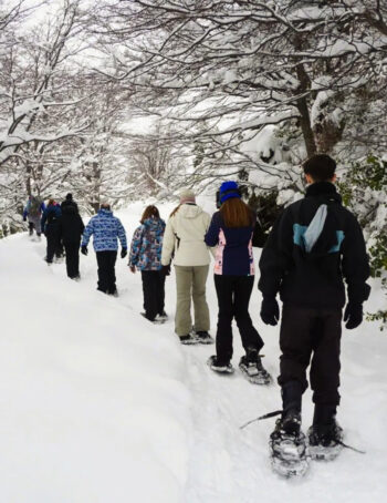 Vivencias: Caminata Con Raquetas Y Sabores Regionales-Refugio Neumeyer - Image 4