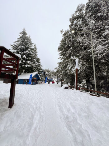 Explorá Villa La Angostura y Cerro Bayo: Aventura entre Lagos y Montañas - Image 4