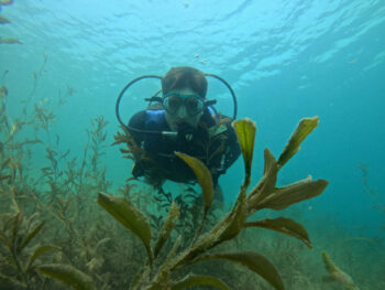 Buceo Bautismo en Bariloche - Imagen 2