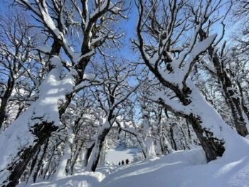 Caminata a la Laguna Congelada Neumeyer: aventura en la nieve y paisajes invernales únicos - Imagen 2